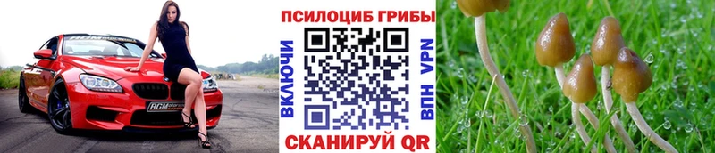 Галлюциногенные грибы GOLDEN TEACHER  Купить где  Шумерля 